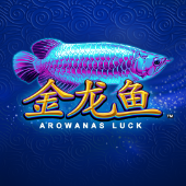 Arowanas Luck